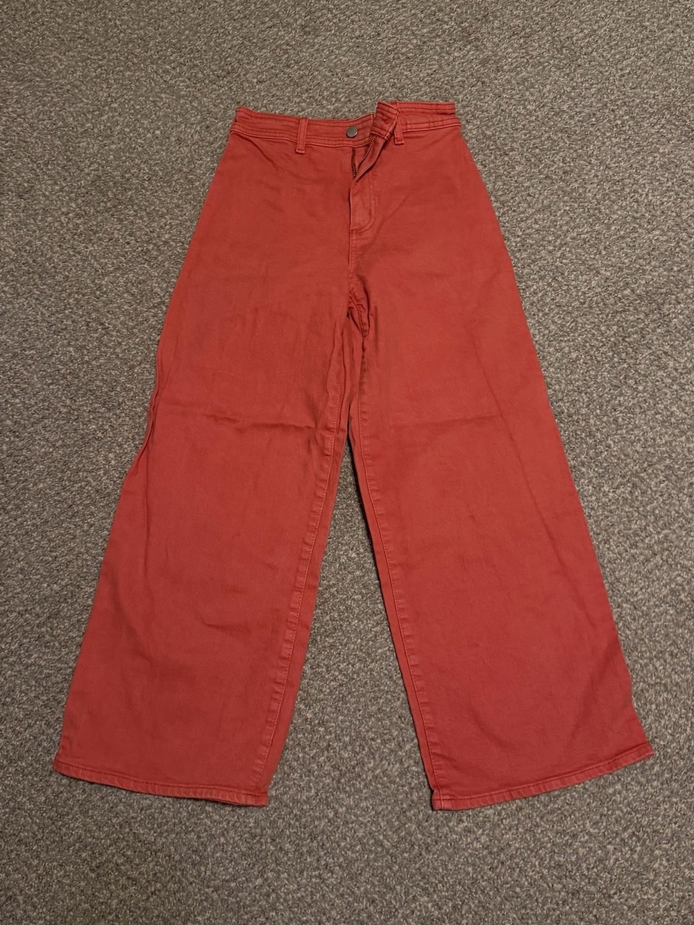 Universal Thread Wide-Leg Pants in Rust/Coral